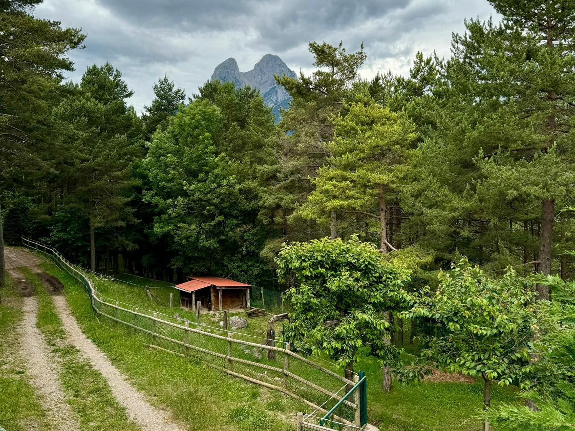 Cal Roig - Pedraforca Saldés Exterior foto